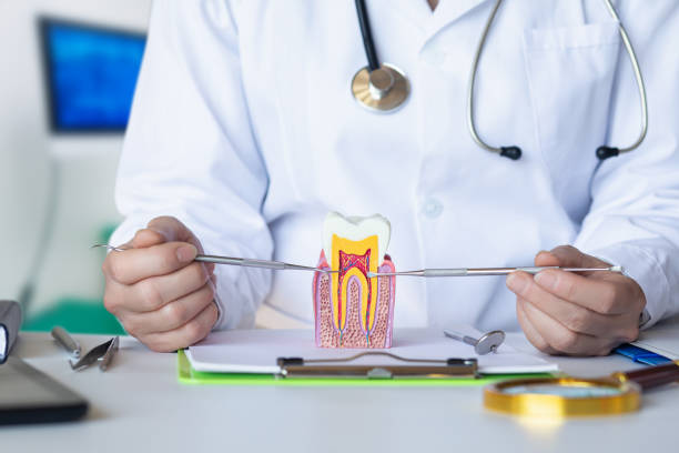 Best Emergency Tooth Extraction in Lawrenceburg, IN